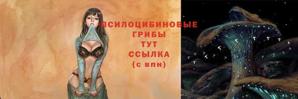 эйфоретик Баксан