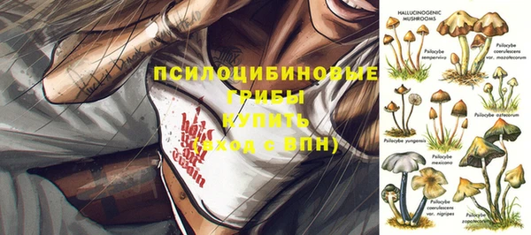 эйфоретик Баксан